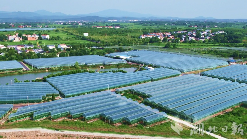 安卓游戏老虎机
